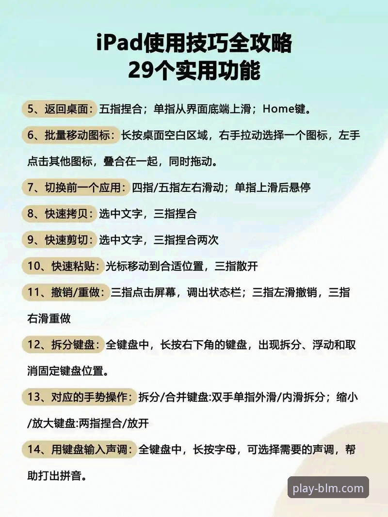 百乐门使用教程教程 百乐门软件平台使用体验最新动态:从入门到精通的完整指南
